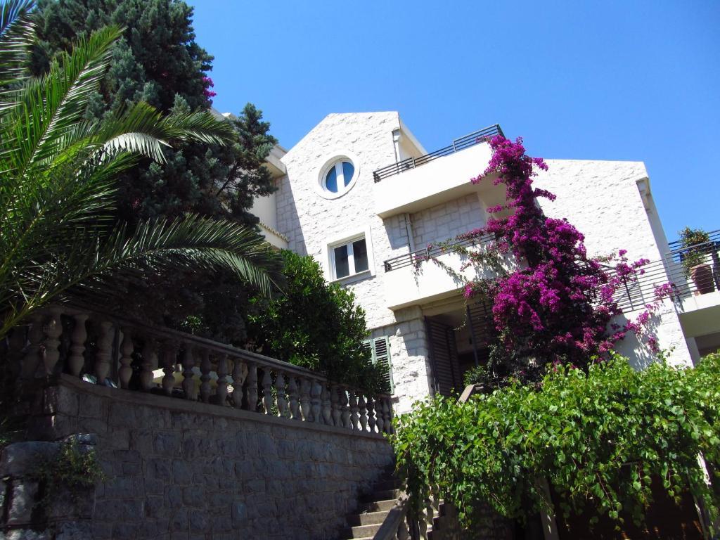 And Teona Budva