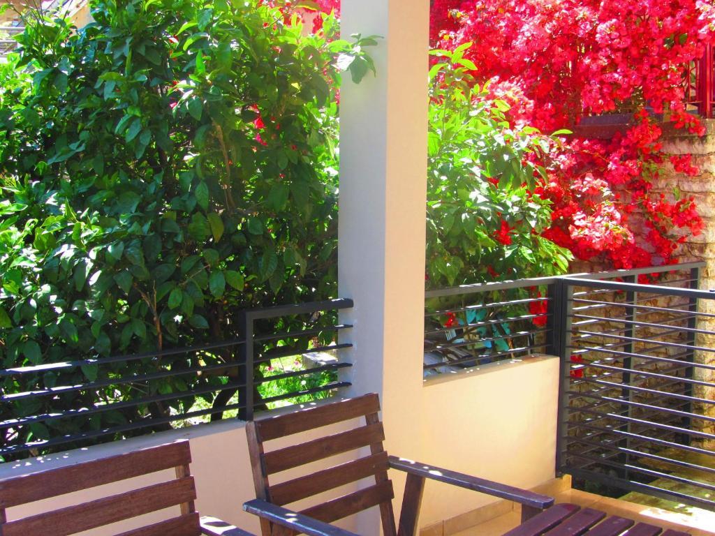 And Teona 3* Budva